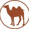 Das Kamel