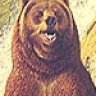 grizzlybear